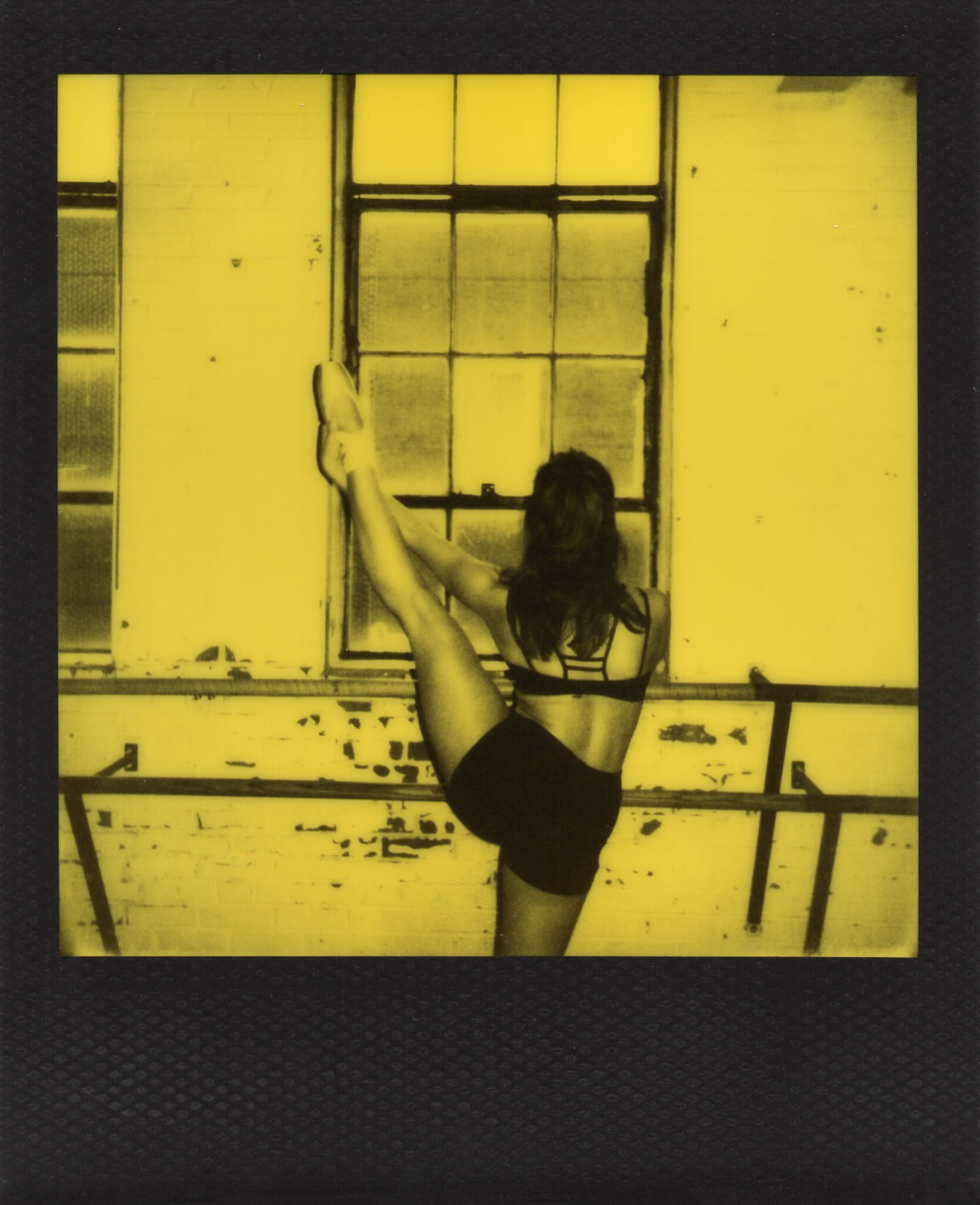 polaroid black yellow duochrome dance