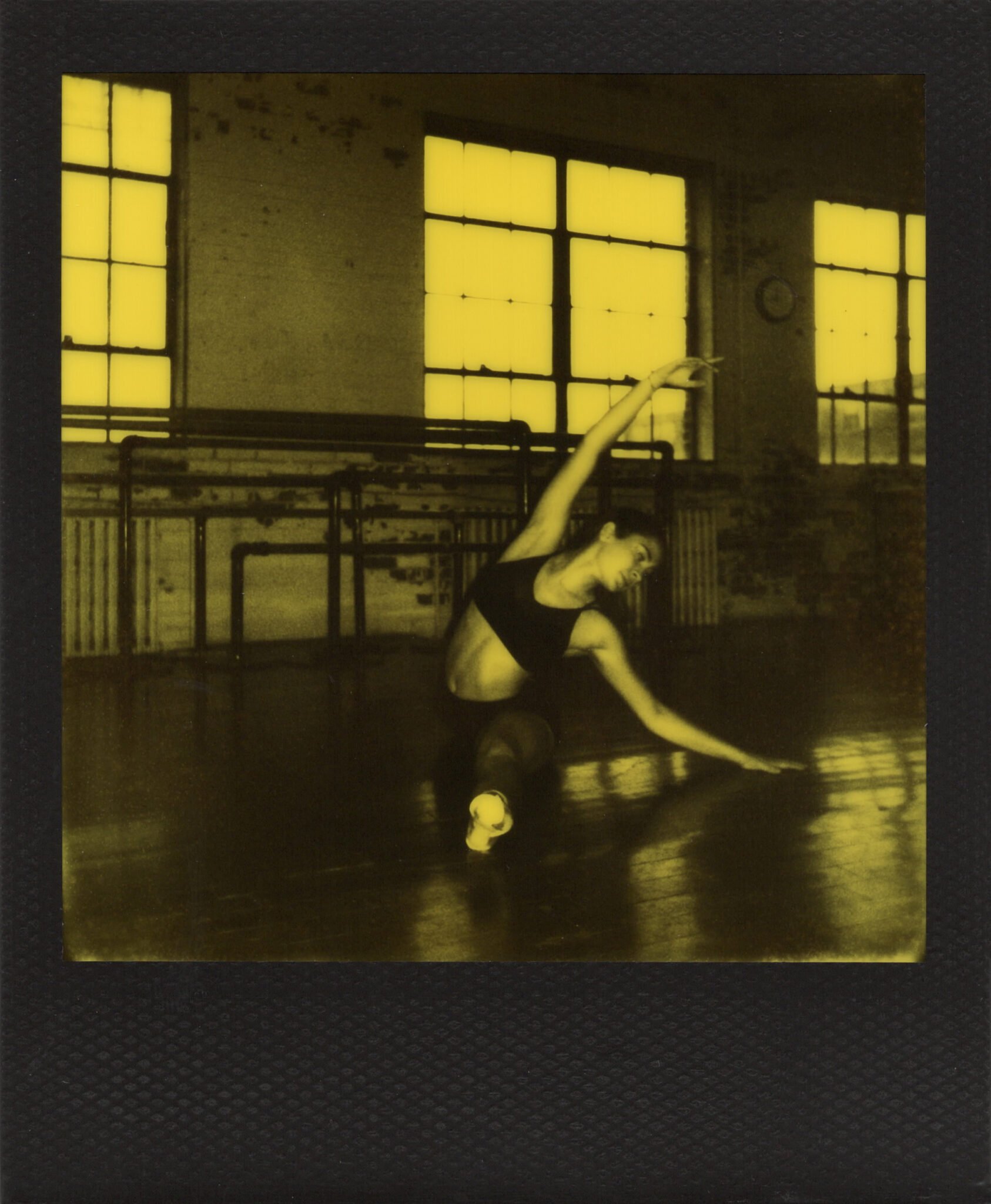polaroid black yellow duochrome dance
